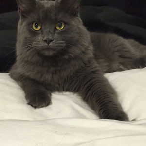 Meet your Posher, Therese